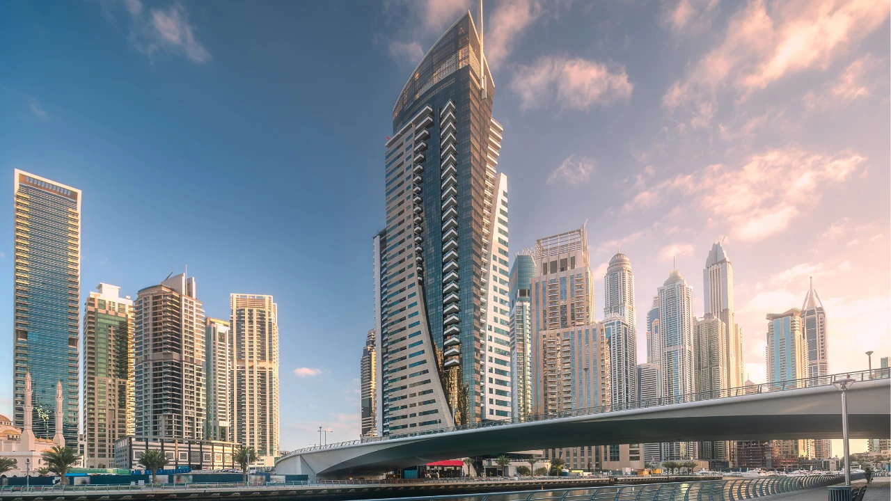 Meydan Free Zone Terms and Conditions